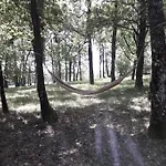 Truffière De La Garrigue, Cubjac, Dordogne