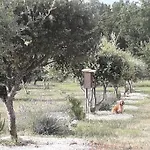 Truffière De La Garrigue, Cubjac, Dordogne Cubjac