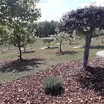 Truffière De La Garrigue, Cubjac, Dordogne * Cubjac
