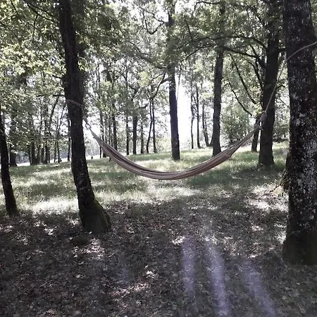 Truffiere De La Garrigue, Cubjac, Dordogne