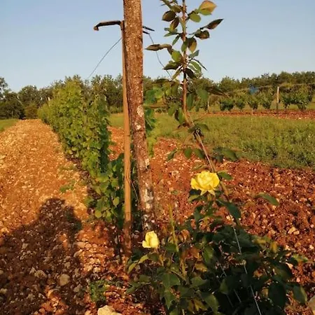 Feriehus Truffiere De La Garrigue, Cubjac, Dordogne *