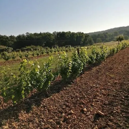 Prázdninový dům Truffiere De La Garrigue, Cubjac, Dordogne *