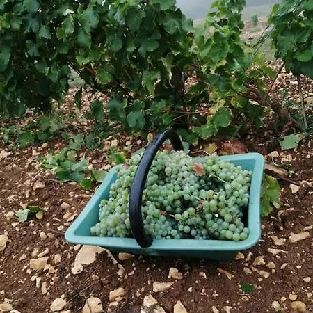Truffiere De La Garrigue, Cubjac, Dordogne Prázdninový dům Cubjac