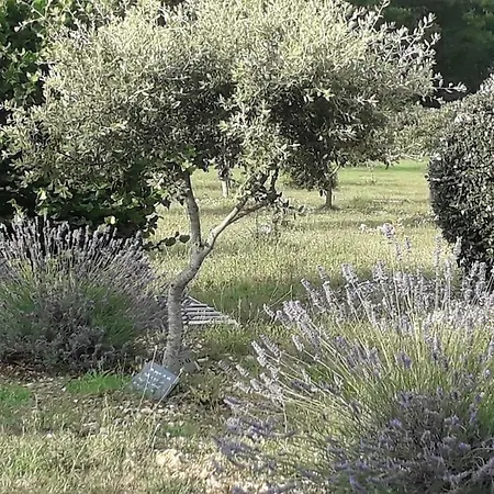 Truffiere De La Garrigue, Cubjac, Dordogne