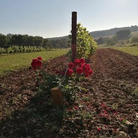 Truffiere De La Garrigue, Cubjac, Dordogne *
