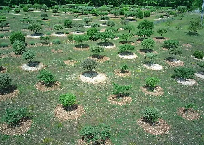 Feriehus Truffiere De La Garrigue, Cubjac, Dordogne